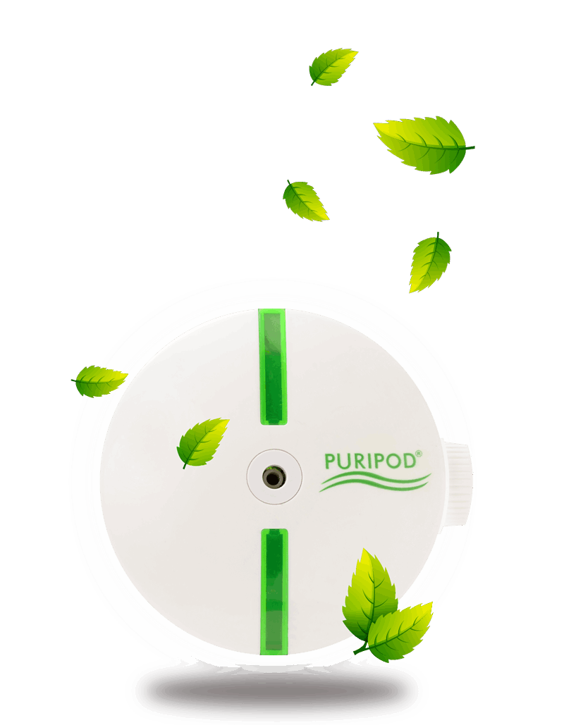 puripod