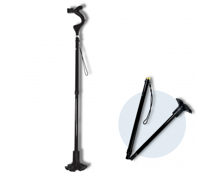 Wellpro Walking Stick 2x1
