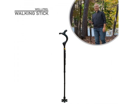 Wellpro Walking Stick 2x1