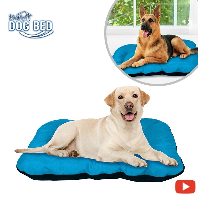 Waterproof dog bed Dog Bed