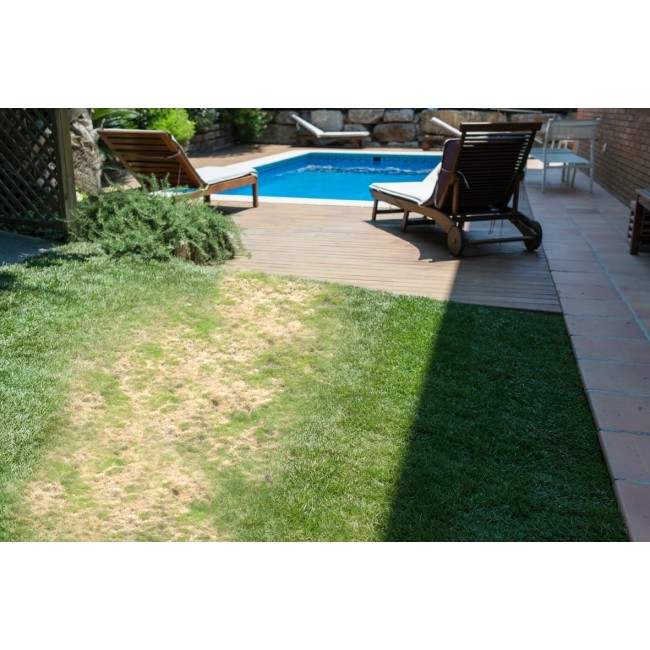 Spray on Grass Seed - Aquagrazz