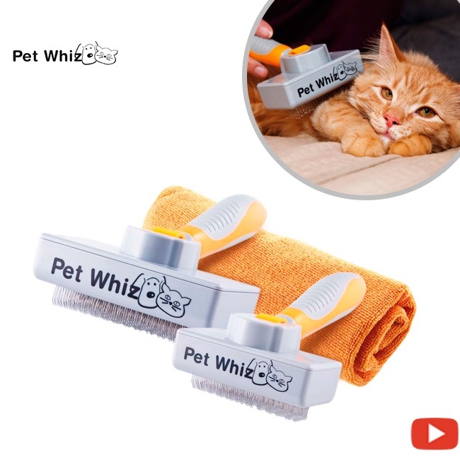 Dog brush price top