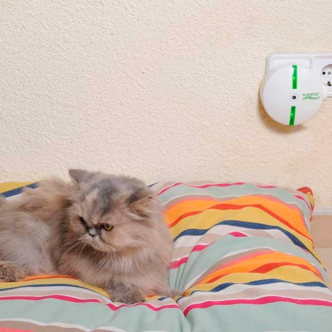 Dehumidifier Puripod